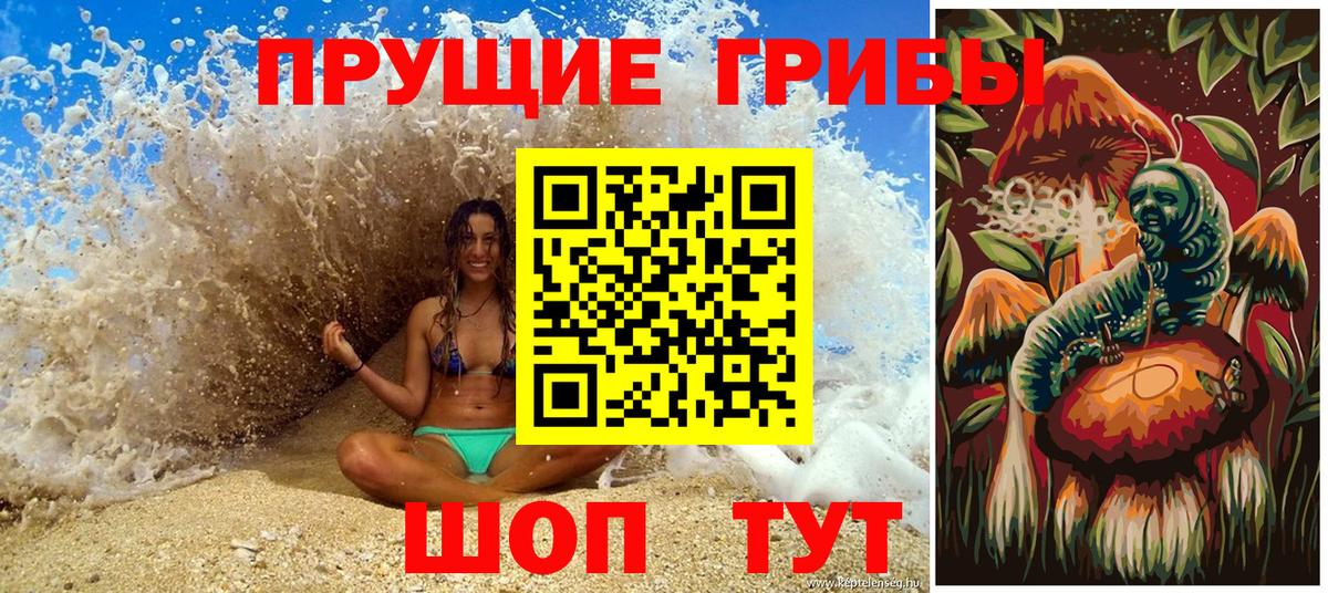 Псилоцибиновые грибы Psilocybine cubensis  Вход с VPN  Реутов 